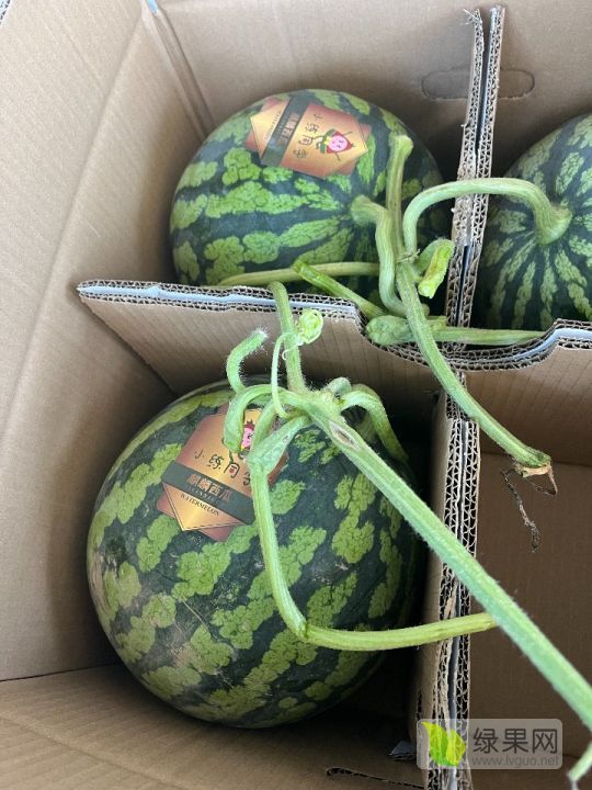 美都价格