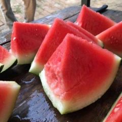 精品黑皮无籽西瓜大量上市中，西瓜物美价廉
