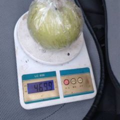 大量上市有需要的老板联系
