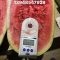 内蒙通辽西瓜代办13948547929