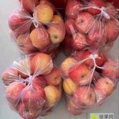 长富2号现货供应4万斤