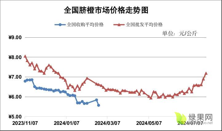 脐橙价格走势.webp