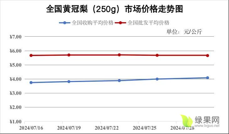 黄冠梨价格走势.webp