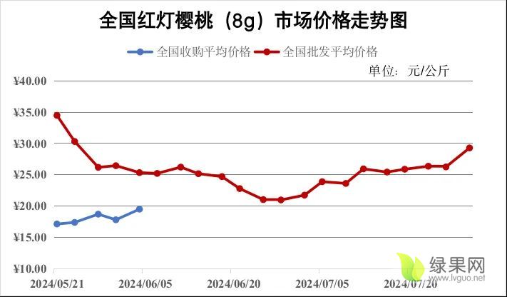 樱桃红灯价格走势.webp