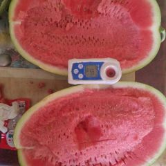 宁夏中卫硒砂瓜石头瓜靖远同发质量三包