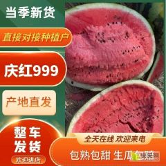 吉林白城陆地 地雷西瓜大量上市 大红