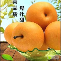 大量上市一件代发