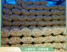沾化冬枣早脆王大量现货支持一件代发