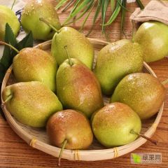 红香酥梨，陕西红香酥梨，红香酥梨价格