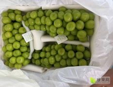 阳光玫瑰葡萄价格，晴王葡萄批发