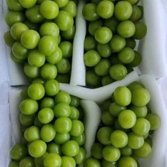 陕西阳光玫瑰葡萄价格，晴王葡萄批发