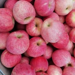 嘎啦，华硕，红浆军。