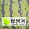 辽源那丹伯西瓜产区