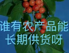 成都电商求购大量农产品