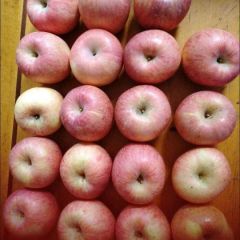 红富士苹果红将军维纳斯苹果