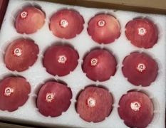 昭通蘋(píng)果紅富士
