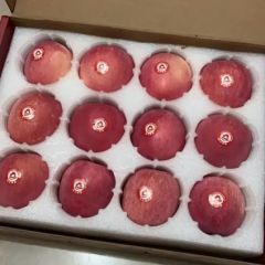 昭通苹果红富士