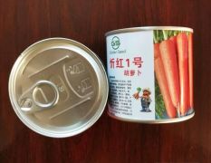 忻红1号胡萝卜种子根形顺直，收尾圆钝，表皮光亮