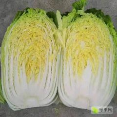 矮颗黄心白菜3-5斤，净菜标准
