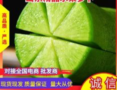 大量供应里外青水果萝卜，超市专供