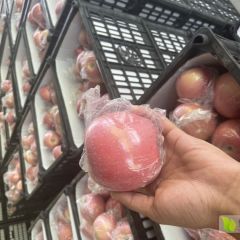 山西省临猗坡上红富士苹果大量上市