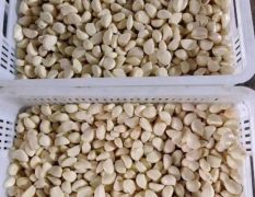 金乡蒜米，厂家直供，电商，市场，加工厂，