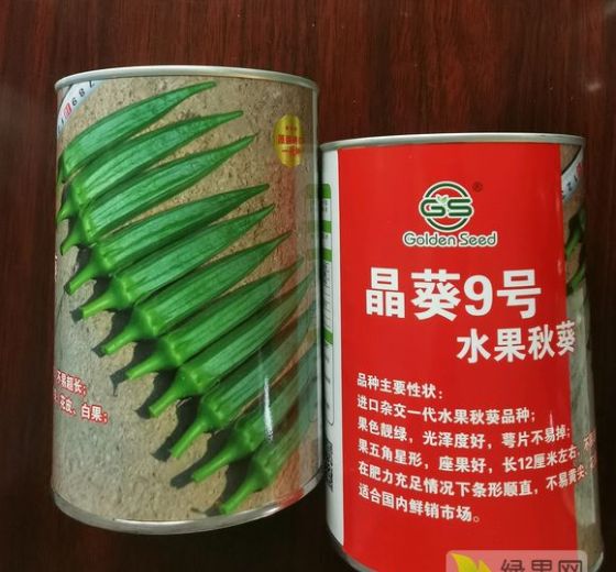 2025年山东莱阳晶葵9号水果秋葵种子价格