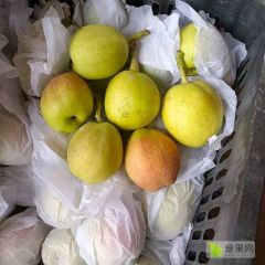 库尔勒香梨价格，库尔勒香梨批发