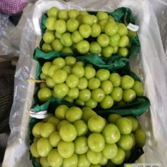 阳光玫瑰葡萄批发，阳光玫瑰葡萄产地，阳光