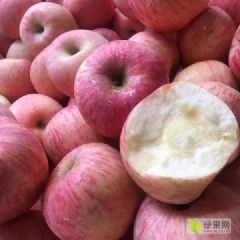 山东蒙阴沂源红富士苹果大量供应