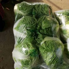 基地直供精品蔬菜