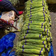 金乡冷库储存蒜苔，供应各地，代发市场