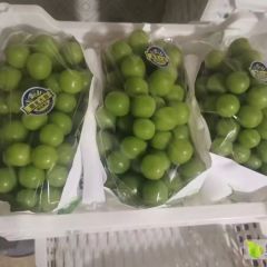 阳光玫瑰，陕西阳光玫瑰，阳光玫瑰葡萄产地多少钱