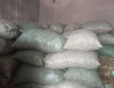 大量供应小通货毛货二母子