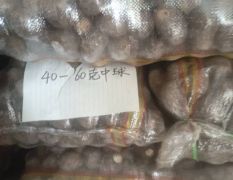 大量供应40-60克精中球