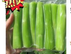 山东沂南供应去皮莴笋真空包装