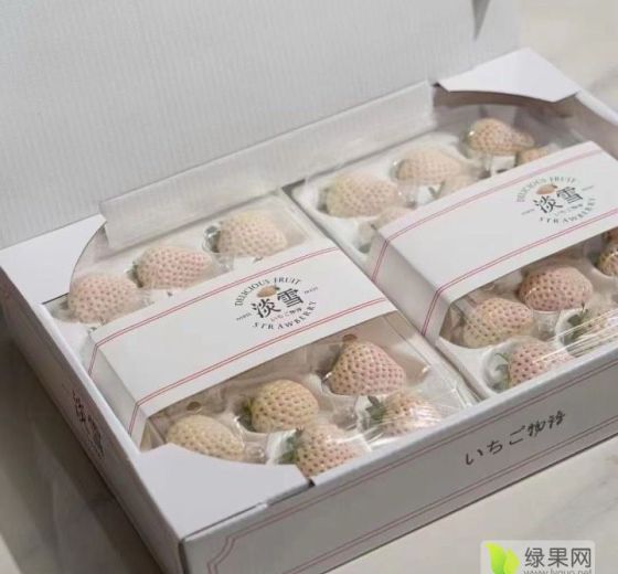2024年山东平度淡雪草莓价格