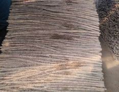 河南省三门峡市灵宝大量供应铁棍山药，量大