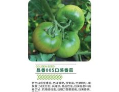 晶番005口感番茄色泽鲜艳，带青肩，坐果均匀