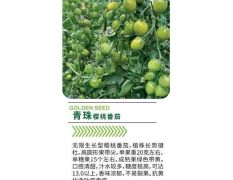青珠樱桃番茄青珠樱桃番茄绿色带黄，口感清甜，汁水