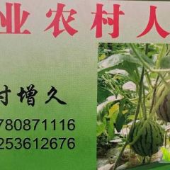 冰糖子2K