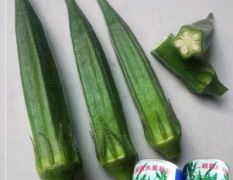 杂交一代超霸水果秋葵