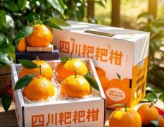 四川源头产地耙耙柑血橙