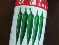 杂交一代绿晶水果秋葵种子