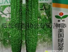 美国绿冠苦瓜种子 商品性佳 深受菜商青睐