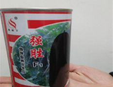 杂交冬瓜种子 黑皮大冬瓜种子