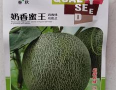 奶香蜜王种子 奶香味哈密瓜每袋200粒