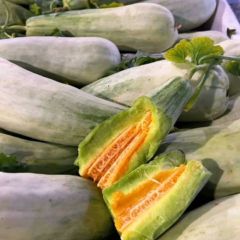山东费县万亩大棚甜瓜大量上市