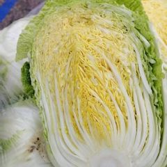 邯郸市场大量供货大白菜！！！