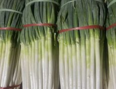 出售大量大葱